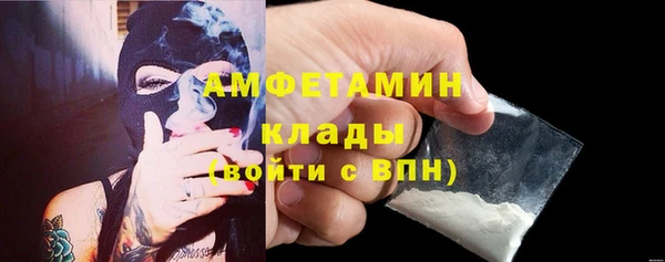гидра Арсеньев