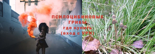первитин Алексеевка