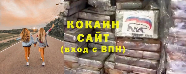 хмурый Алексин